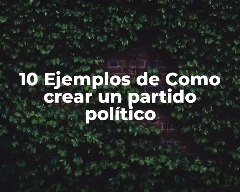 10 Ejemplos de Como crear un partido político