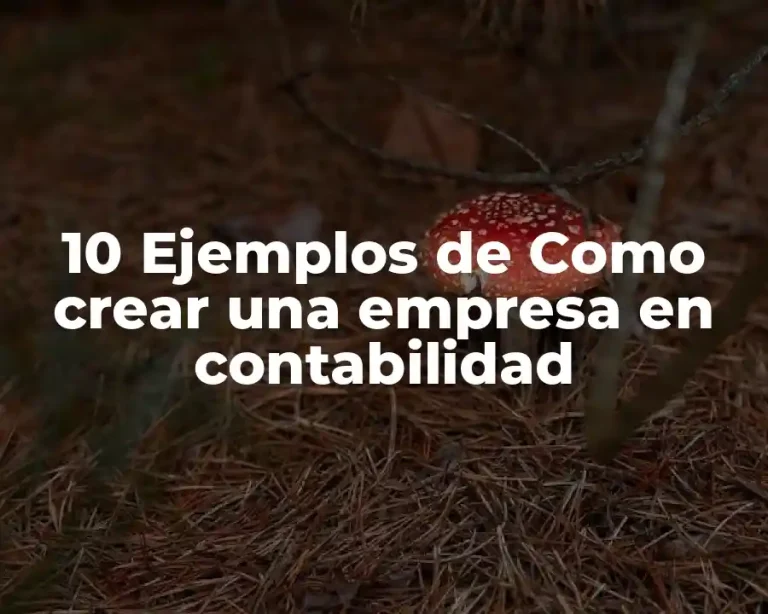 10 Ejemplos de Como crear una empresa en contabilidad