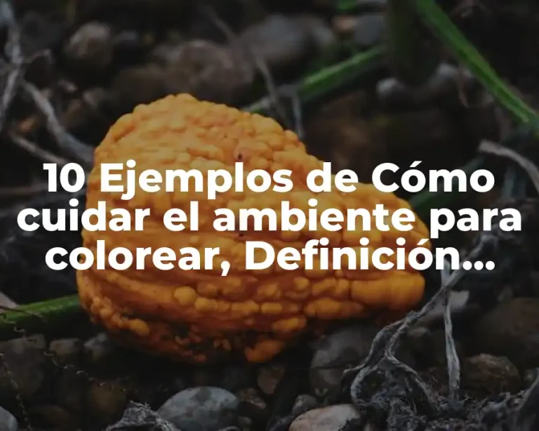 10 Ejemplos de Cómo cuidar el ambiente para colorear, Definición, Diferencias y para que sirve