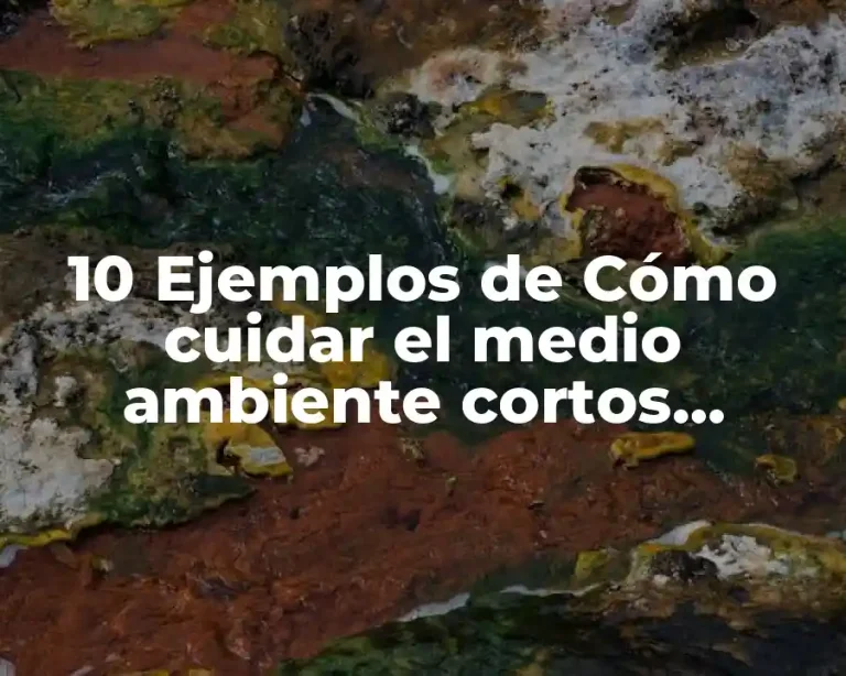 10 Ejemplos de Cómo cuidar el medio ambiente cortos, Definición, Diferencias y para que sirve