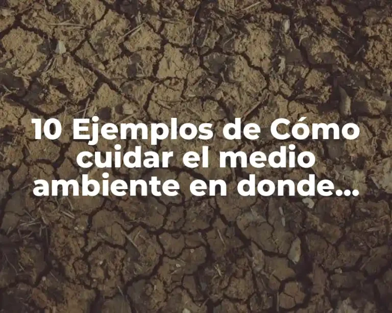 10 Ejemplos de Cómo cuidar el medio ambiente en donde vivo