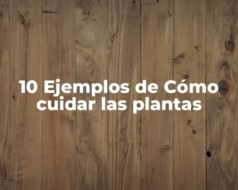 10 Ejemplos de Cómo cuidar las plantas