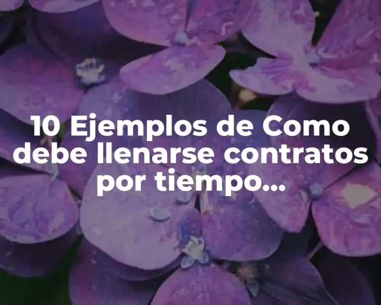 10 Ejemplos de Como debe llenarse contratos por tiempo indeterminado