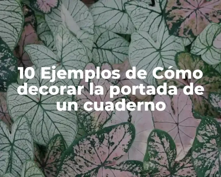 10 Ejemplos de Cómo decorar la portada de un cuaderno