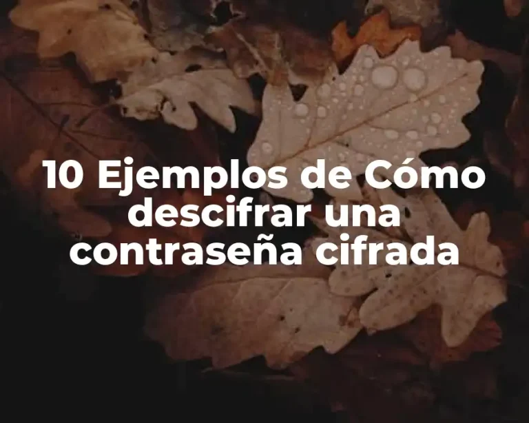 10 Ejemplos de Cómo descifrar una contraseña cifrada