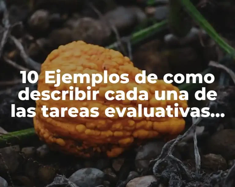 10 Ejemplos de como describir cada una de las tareas evaluativas secundaria