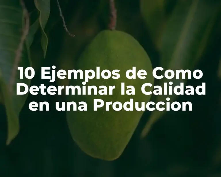 10 Ejemplos de Como Determinar la Calidad en una Produccion