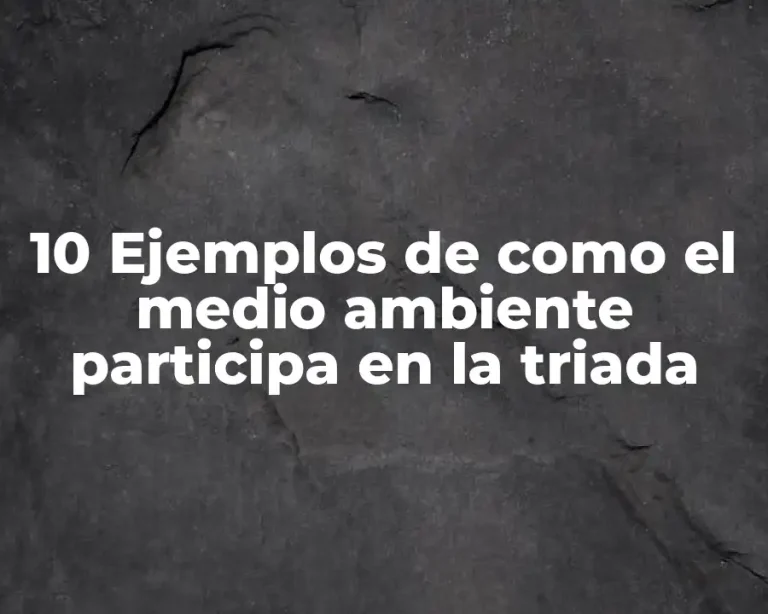 10 Ejemplos de como el medio ambiente participa en la triada