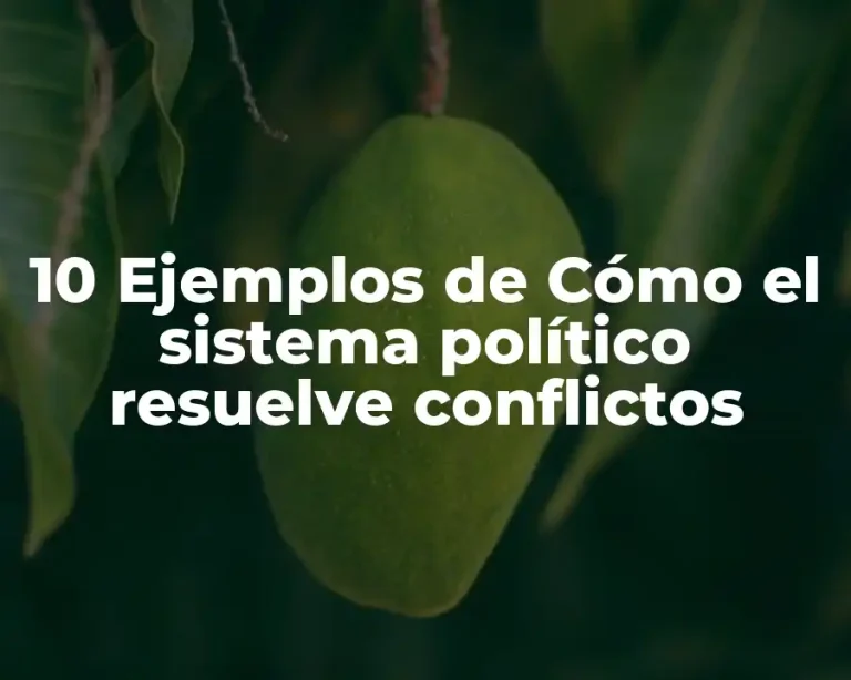 10 Ejemplos de Cómo el sistema político resuelve conflictos