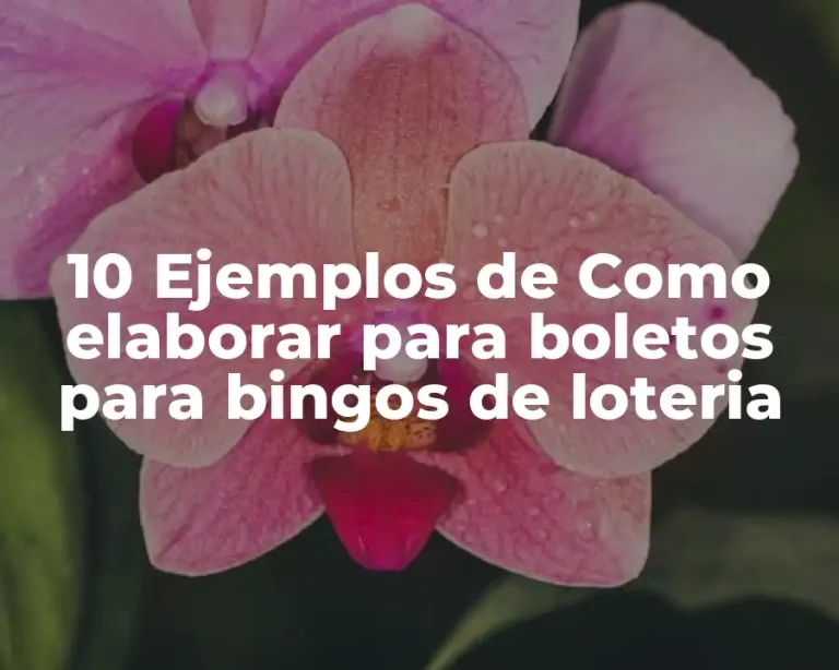 10 Ejemplos de Como elaborar para boletos para bingos de loteria