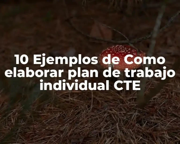 10 Ejemplos de Como elaborar plan de trabajo individual CTE