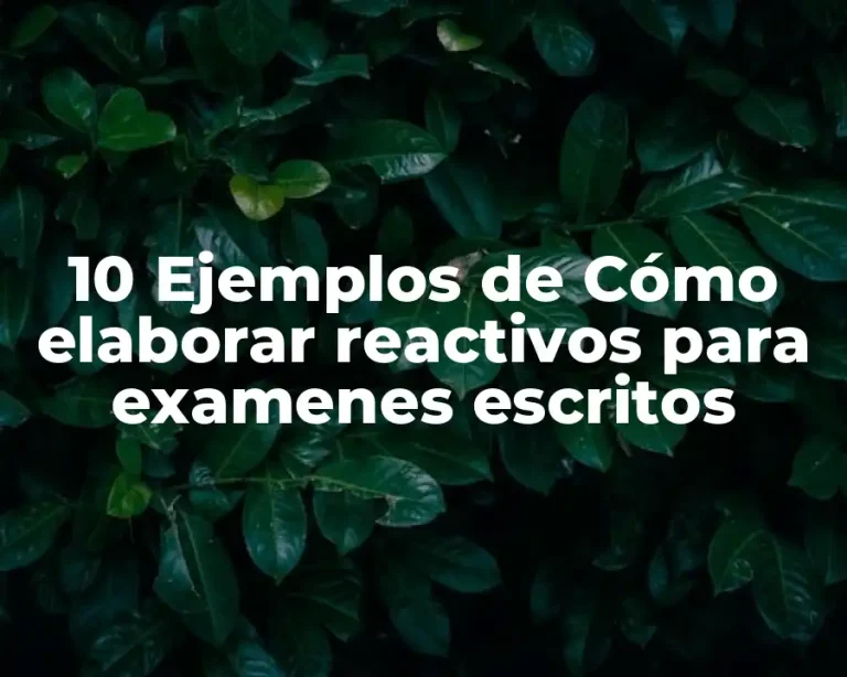 10 Ejemplos de Cómo elaborar reactivos para examenes escritos