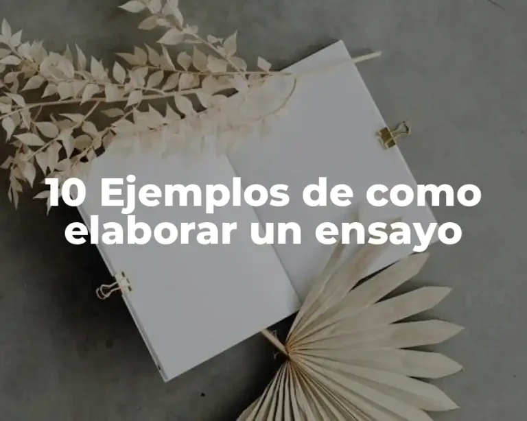 10 Ejemplos de como elaborar un ensayo
