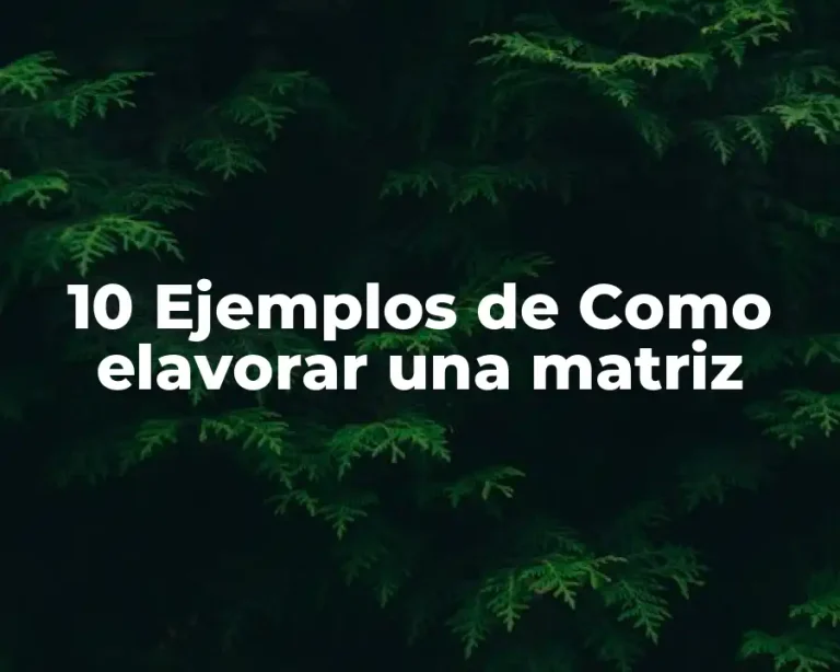 10 Ejemplos de Como elavorar una matriz