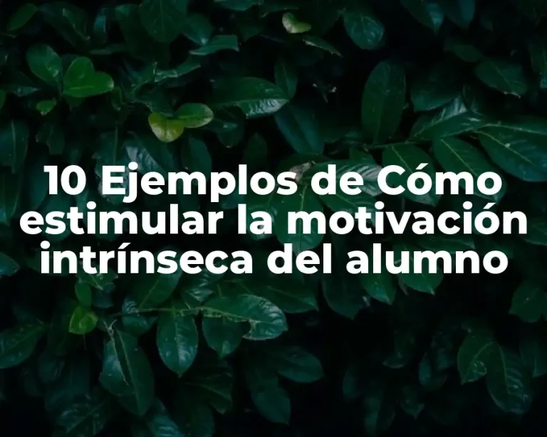 10 Ejemplos de Cómo estimular la motivación intrínseca del alumno