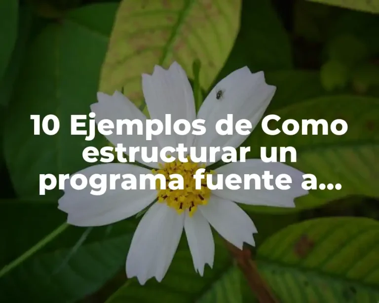 10 Ejemplos de Como estructurar un programa fuente a lenguaje ensamblador