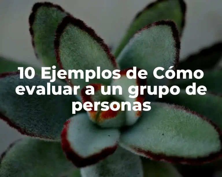10 Ejemplos de Cómo evaluar a un grupo de personas