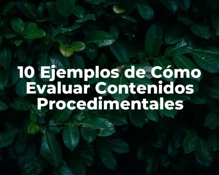 10 Ejemplos de Cómo Evaluar Contenidos Procedimentales