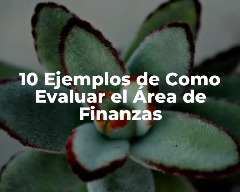 10 Ejemplos de Como Evaluar el Área de Finanzas