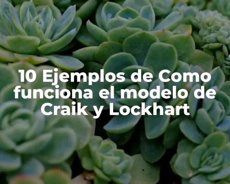 10 Ejemplos de Como funciona el modelo de Craik y Lockhart