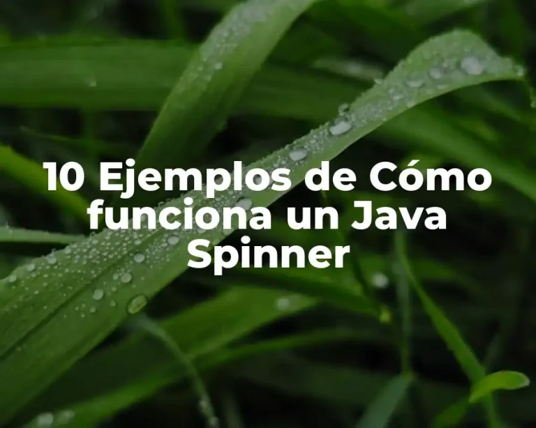 10 Ejemplos de Cómo funciona un Java Spinner