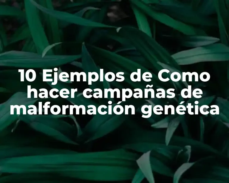 10 Ejemplos de Como hacer campañas de malformación genética