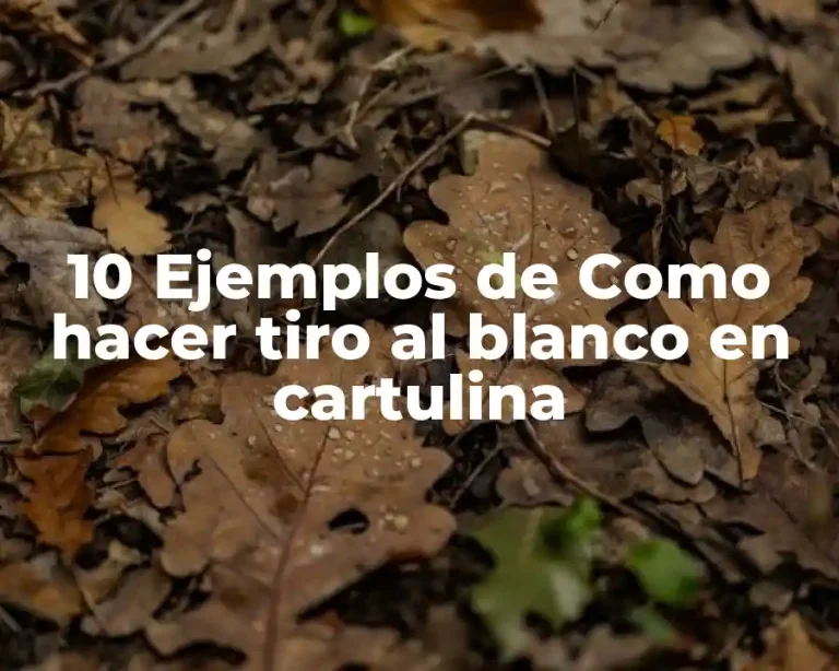10 Ejemplos de Como hacer tiro al blanco en cartulina