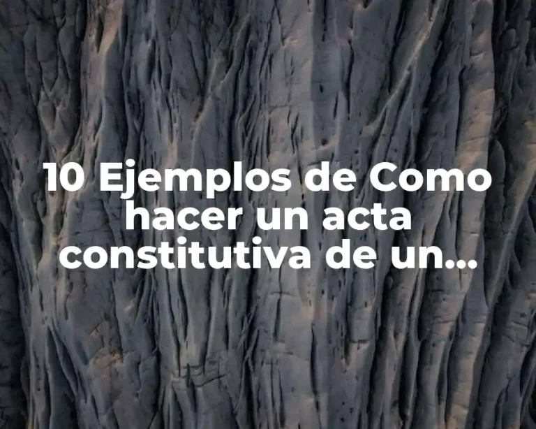 10 Ejemplos de Como hacer un acta constitutiva de un proyecto