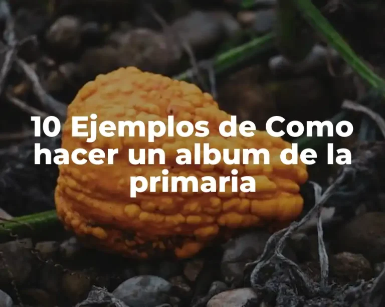 10 Ejemplos de Como hacer un album de la primaria