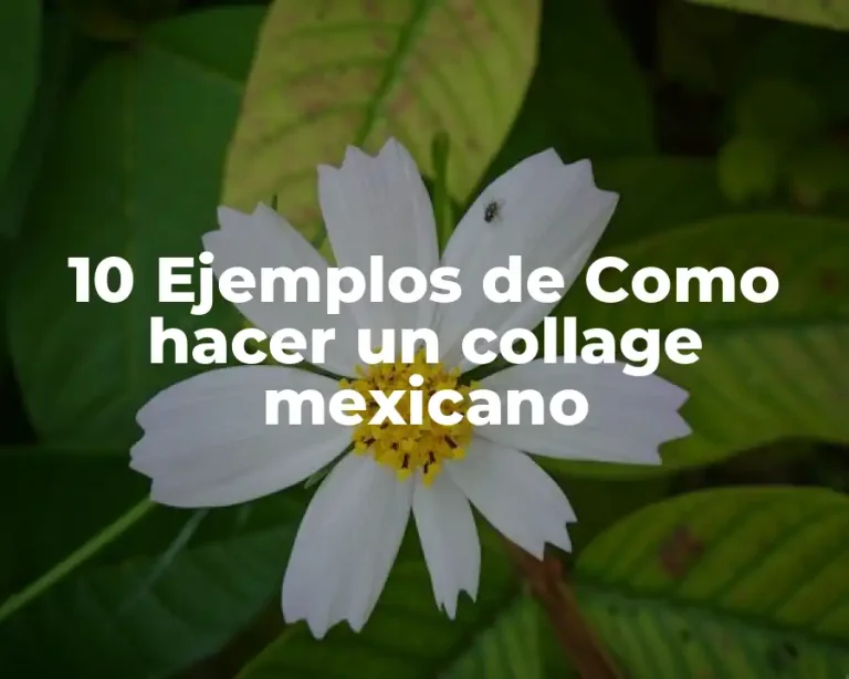 10 Ejemplos de Como hacer un collage mexicano