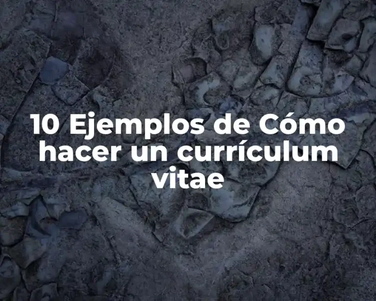 10 Ejemplos de Cómo hacer un currículum vitae