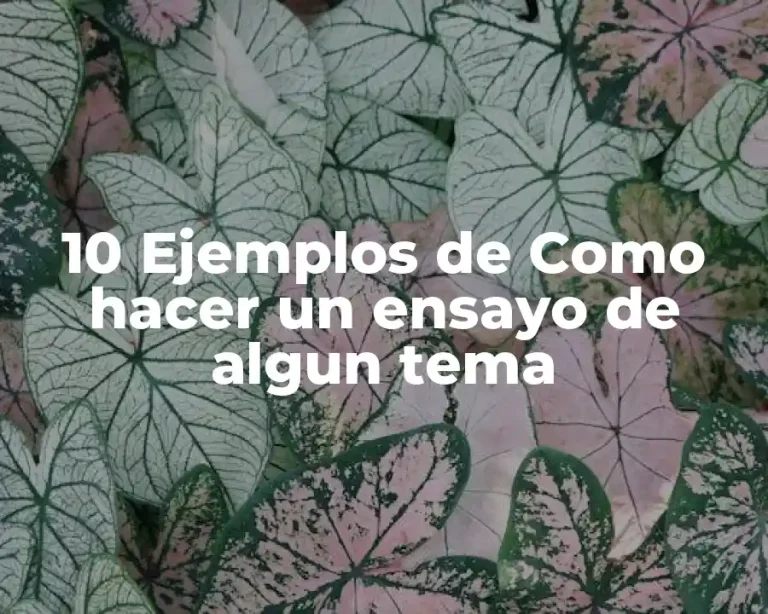 10 Ejemplos de Como hacer un ensayo de algun tema