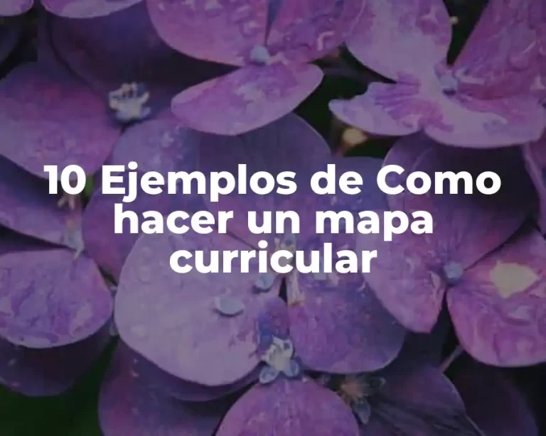 10 Ejemplos de Como hacer un mapa curricular