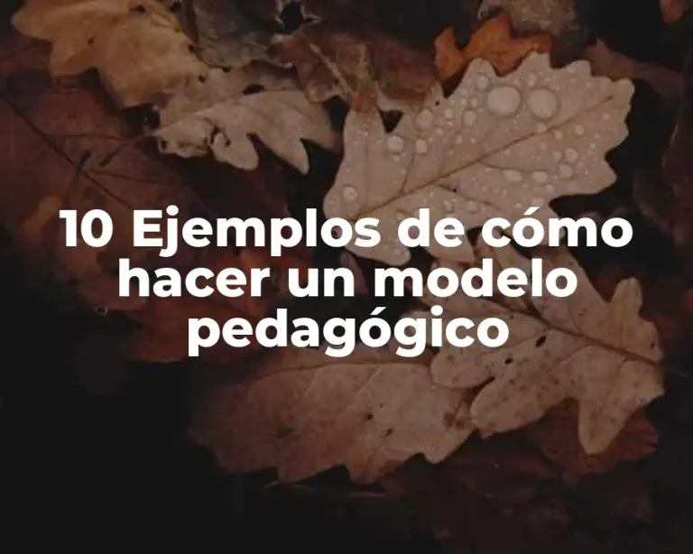 10 Ejemplos de cómo hacer un modelo pedagógico