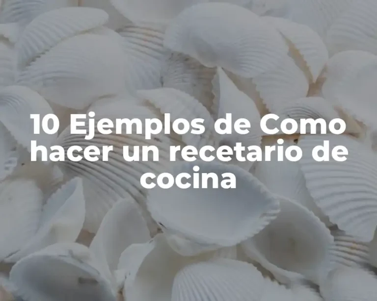 10 Ejemplos de Como hacer un recetario de cocina