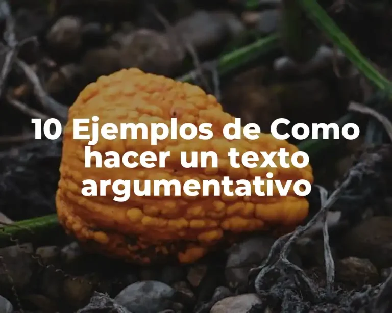 10 Ejemplos de Como hacer un texto argumentativo