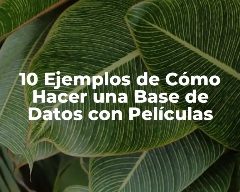 10 Ejemplos de Cómo Hacer una Base de Datos con Películas