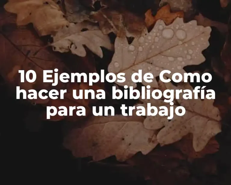 10 Ejemplos de Como hacer una bibliografía para un trabajo