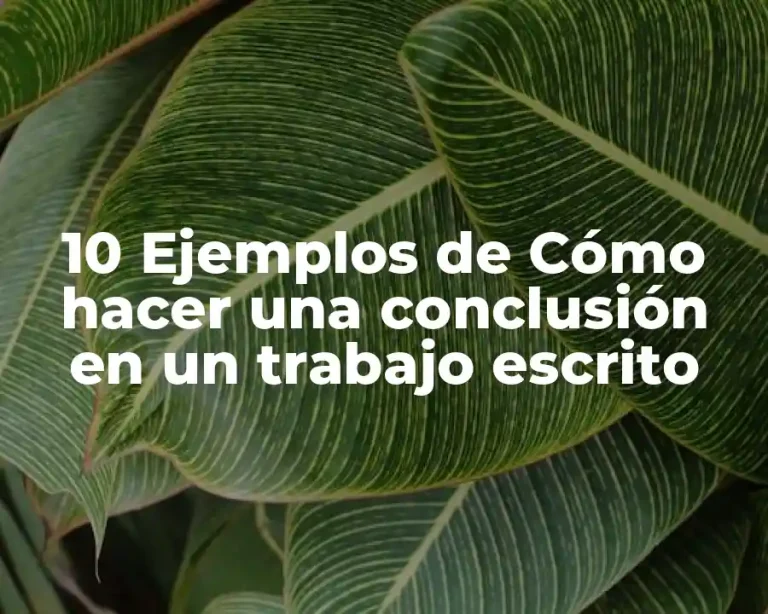 10 Ejemplos de Cómo hacer una conclusión en un trabajo escrito