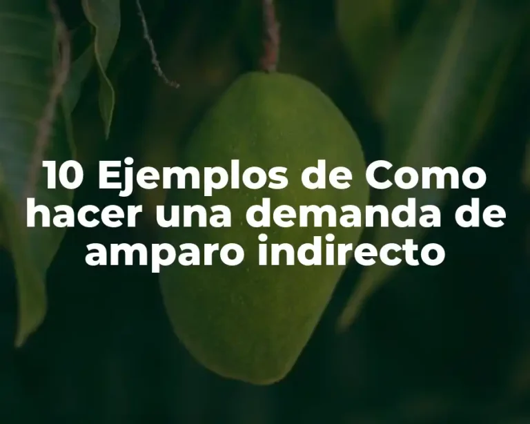 10 Ejemplos de Como hacer una demanda de amparo indirecto