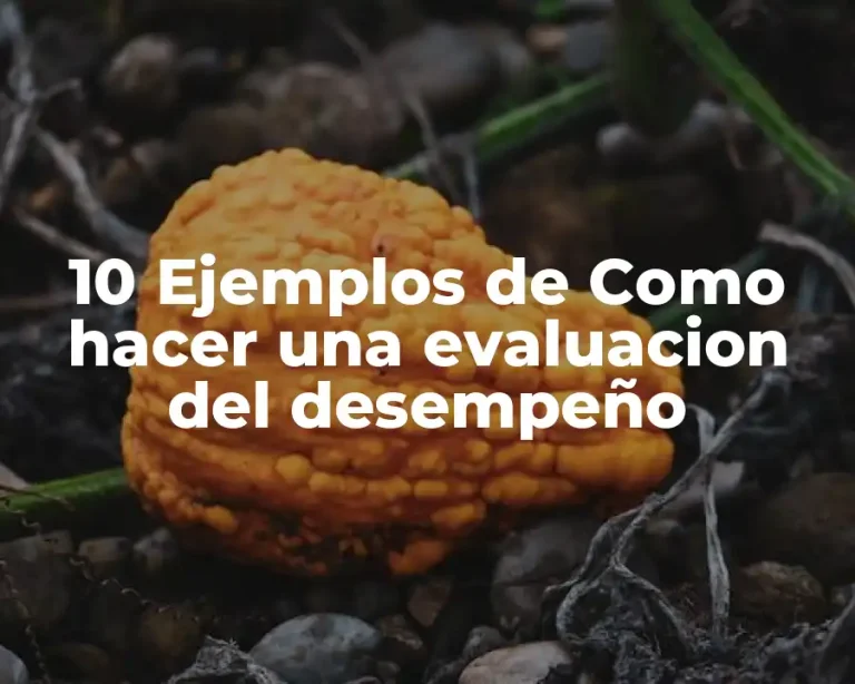 10 Ejemplos de Como hacer una evaluacion del desempeño