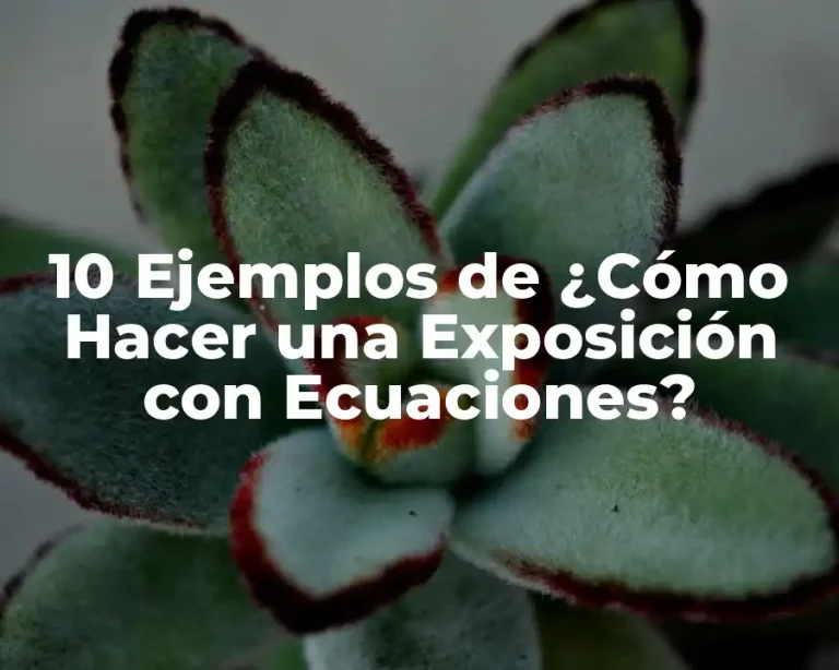 10 Ejemplos de ¿Cómo Hacer una Exposición con Ecuaciones?