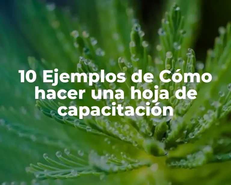 10 Ejemplos de Cómo hacer una hoja de capacitación