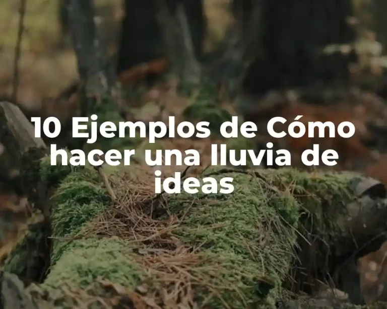 10 Ejemplos de Cómo hacer una lluvia de ideas
