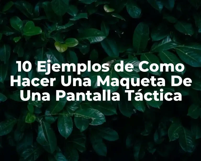 10 Ejemplos de Como Hacer Una Maqueta De Una Pantalla Táctica