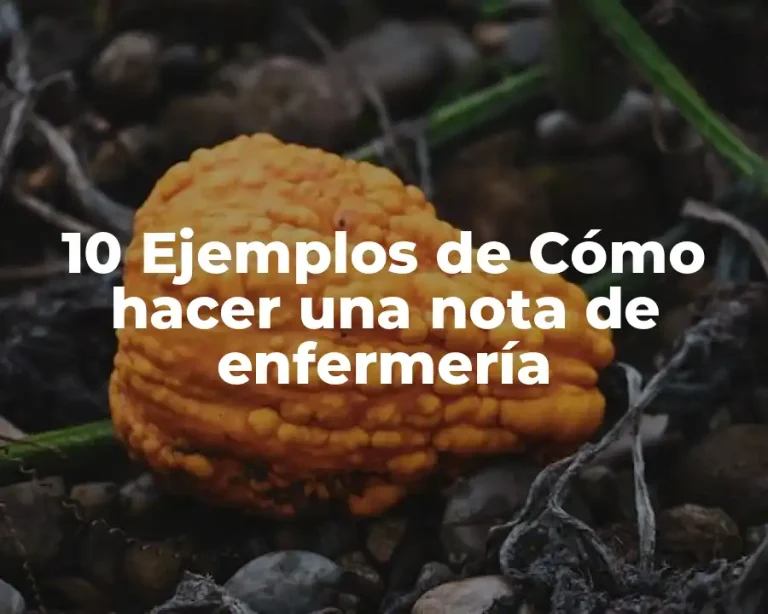 10 Ejemplos de Cómo hacer una nota de enfermería