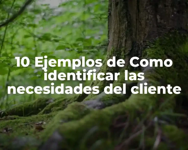 10 Ejemplos de Como identificar las necesidades del cliente