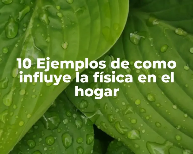 10 Ejemplos de como influye la física en el hogar