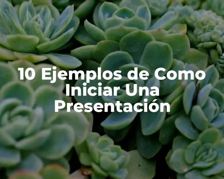 10 Ejemplos de Como Iniciar Una Presentación