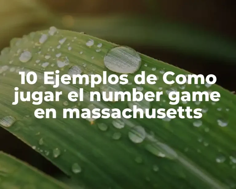 10 Ejemplos de Como jugar el number game en massachusetts